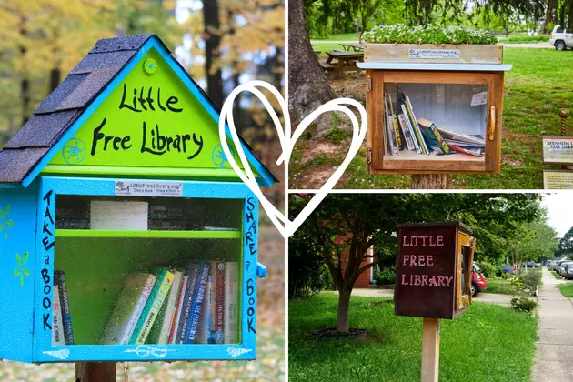 three pictures of free little library houses on posts.