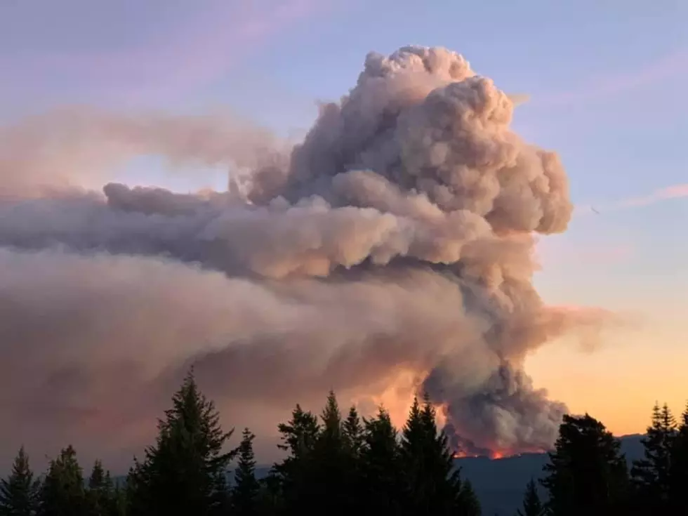 50 engines, 15 Hand Crews Hoping to Win Battle Against Schneider Springs Blaze