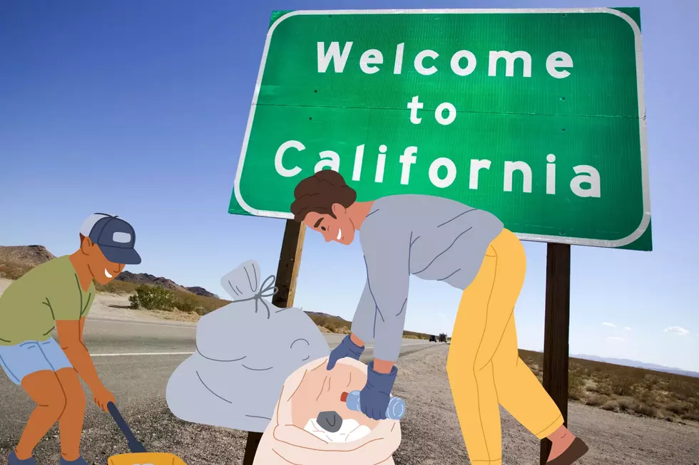Garbage Vs Recycling! What Will Get You A Fine in California!