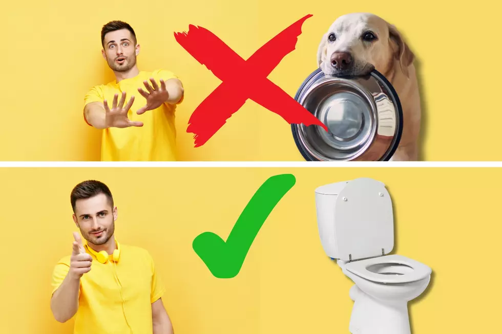 10 Weird Things Dirtier Than A Washington Toilet!
