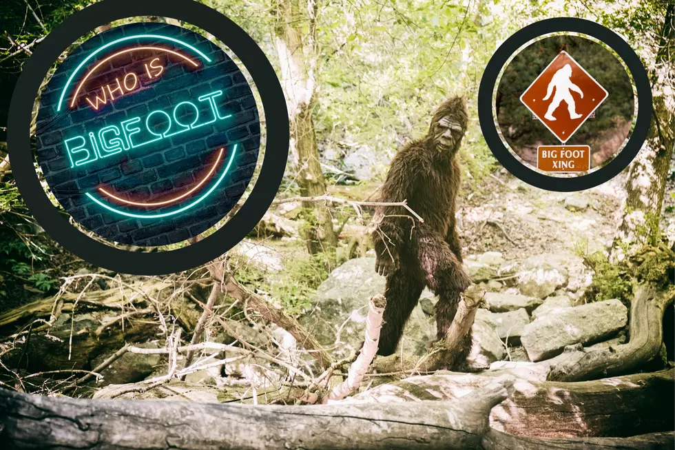 Shocking Bigfoot Sightings: Washington’s 707 Leads US. Seen Him?
